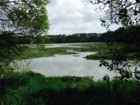 /album/les-balades/a1-jpg/